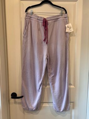 NWT Daily Practice by anthropologie Cozy Jogger in “Lavande” - XL